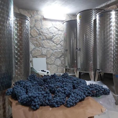 Apartman Genova Imotski Donji Vinjani Exteriér fotografie